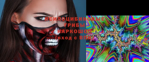 спиды Аркадак