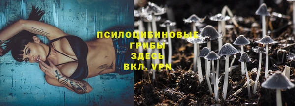 меф Арсеньев