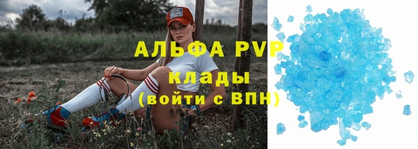 спиды Аркадак