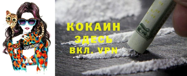 спиды Аркадак