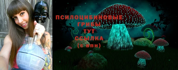 меф Армянск