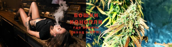 спиды Аркадак
