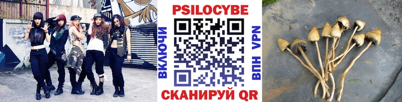 купить наркоту  mega ТОР  Псилоцибиновые грибы Psilocybe  Чкаловск 