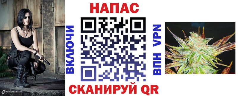 Бошки Шишки индика  где найти наркотики  Чкаловск 